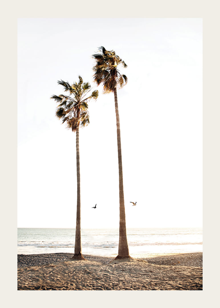 Foto met twee hoge palmbomen bij zandstrand en zee-12