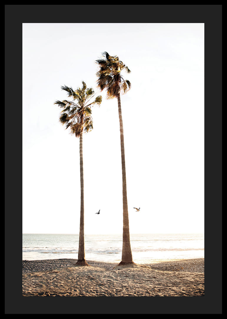 Foto met twee hoge palmbomen bij zandstrand en zee-12