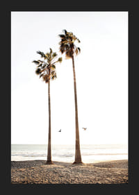 Foto met twee hoge palmbomen bij zandstrand en zee-5