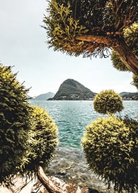 Photograph of lake landscape with treetops and mountains in the background-7