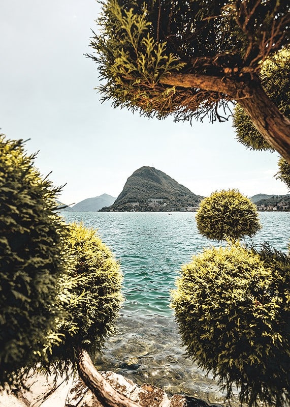 Photograph of lake landscape with treetops and mountains in the background-12