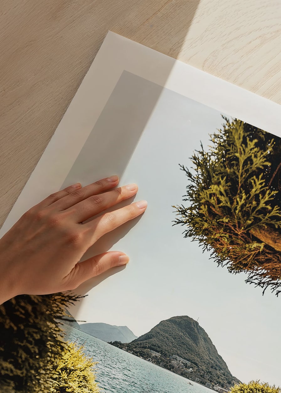 Photograph of lake landscape with treetops and mountains in the background-12