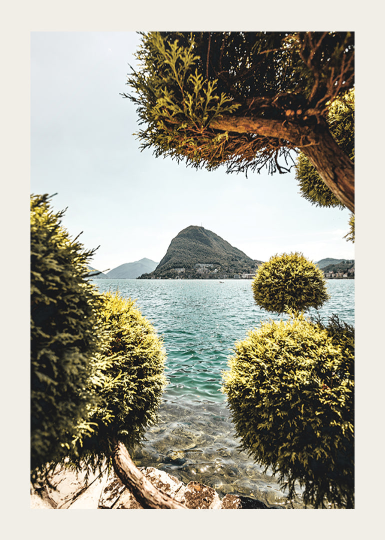 Photograph of lake landscape with treetops and mountains in the background-12