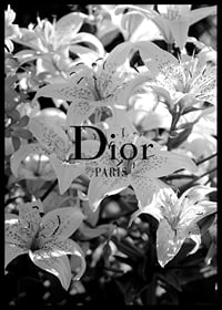 Black and white lilies with Dior Paris typography in the center-6