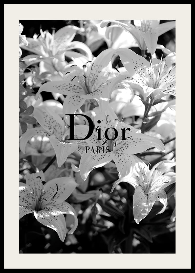 Melnbaltas lilijas ar Dior Paris tipogrāfiju centrā-12