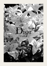 Melnbaltas lilijas ar Dior Paris tipogrāfiju centrā-3