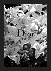 Melnbaltas lilijas ar Dior Paris tipogrāfiju centrā-5