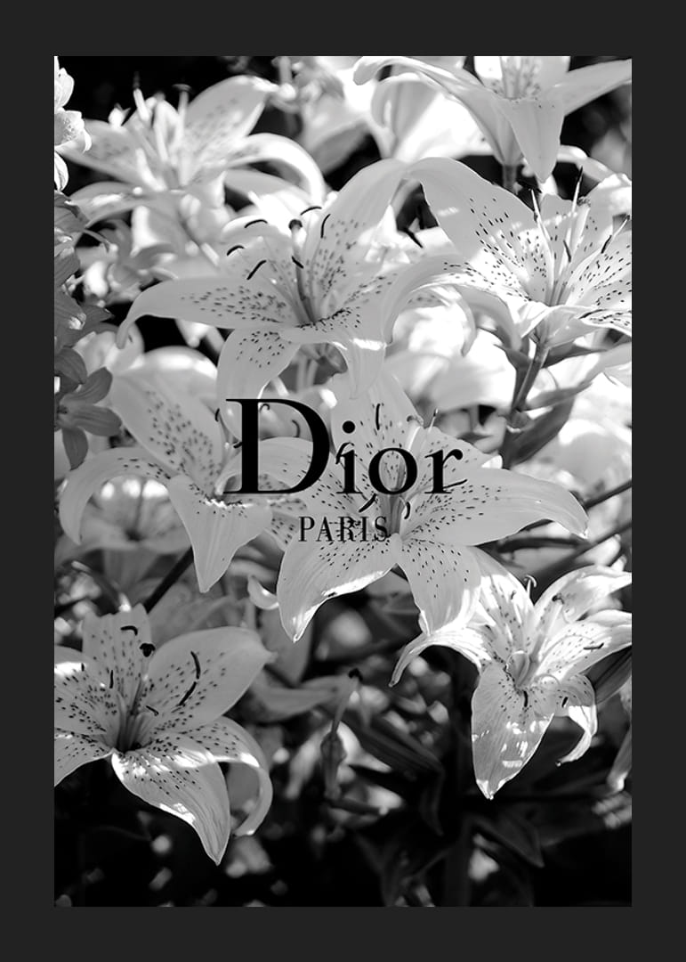 Melnbaltas lilijas ar Dior Paris tipogrāfiju centrā-12