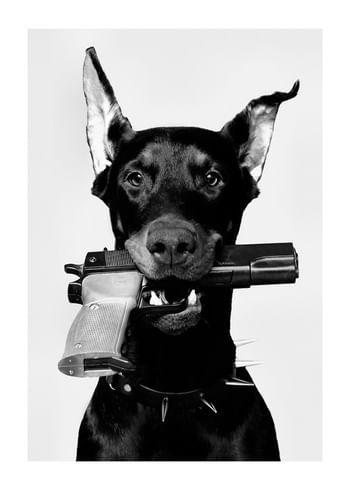 Poster Loaded Dog