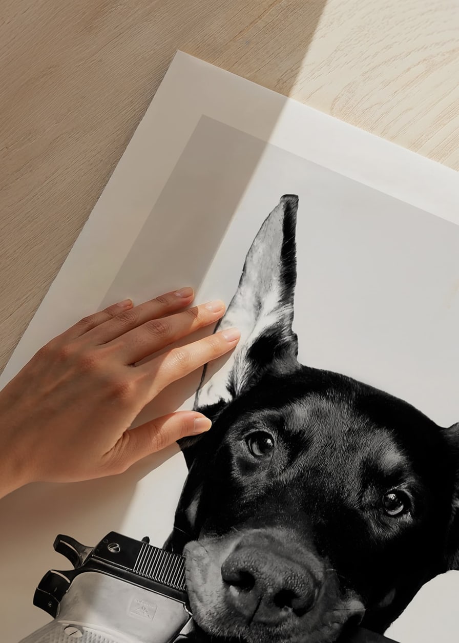 Čiernobiely doberman so zbraňou v ústach na svetlom pozadí-12