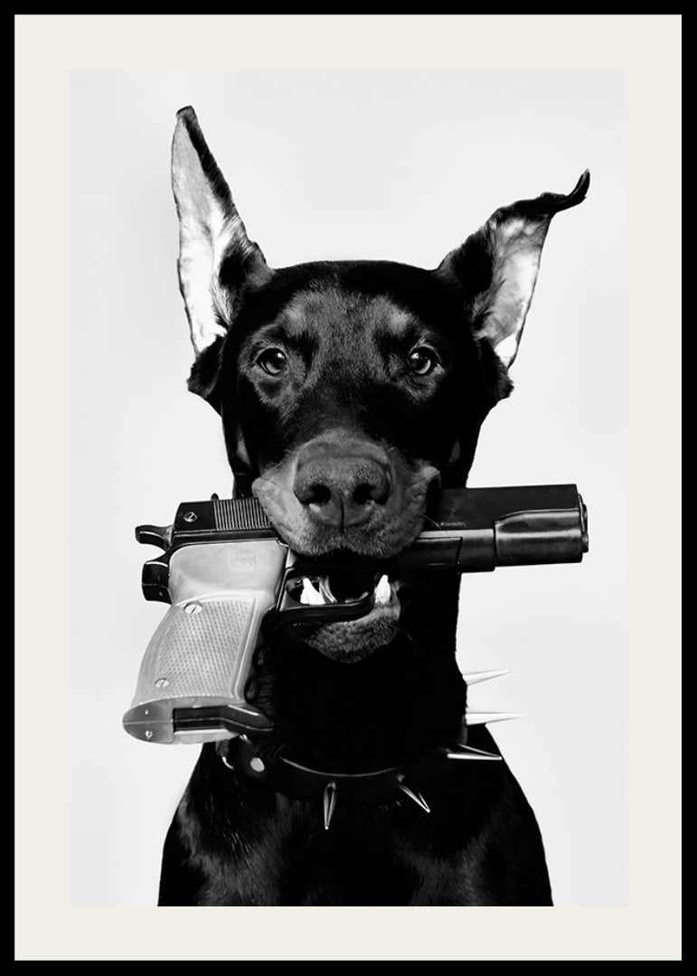 Čiernobiely doberman so zbraňou v ústach na svetlom pozadí-12