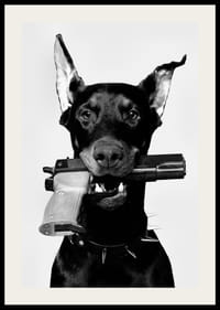 Black and white doberman with gun in mouth against light background-2
