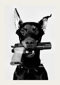 Čiernobiely doberman so zbraňou v ústach na svetlom pozadí-3