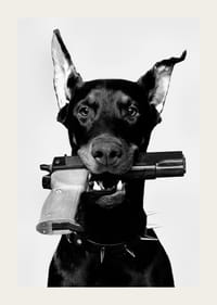 Black and white doberman with gun in mouth against light background-3