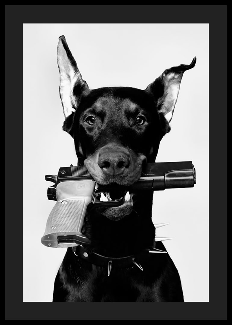 Čiernobiely doberman so zbraňou v ústach na svetlom pozadí-12