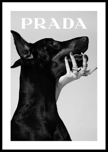 Poster Prada Fashion
