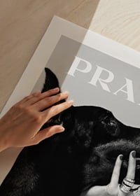 Black and white close-up of Doberman and hand with rings, Prada-9