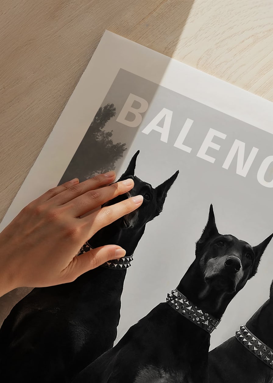 Svartvit fotografi av tre dobermannhundar med nitar-12
