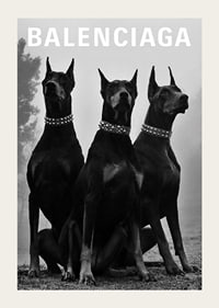 Svartvit fotografi av tre dobermannhundar med nitar-3
