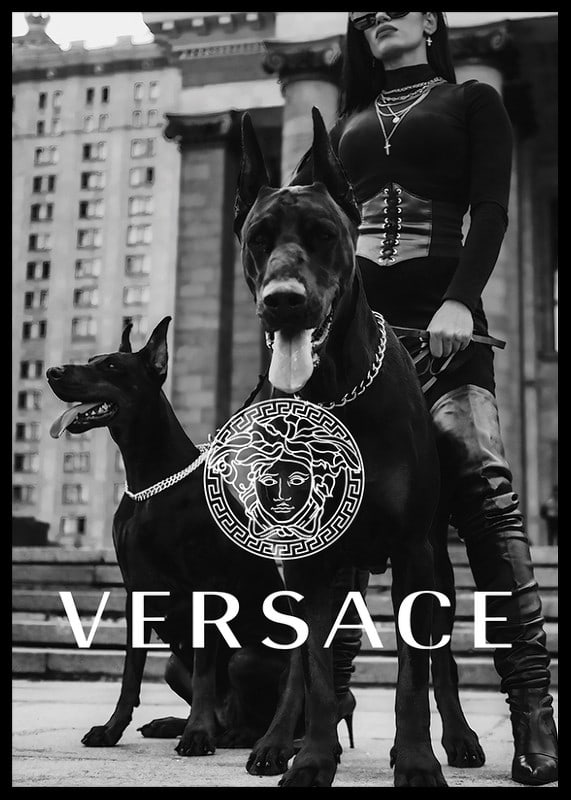 Black and white fashion photo of woman with two Doberman dogs-12