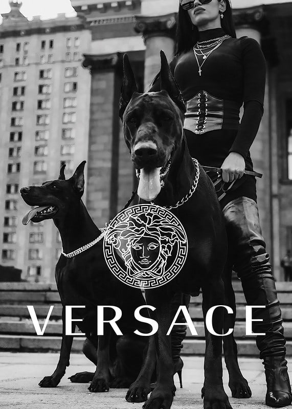 Black and white fashion photo of woman with two Doberman dogs-12