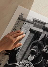 Black and white fashion photo of woman with two Doberman dogs-9