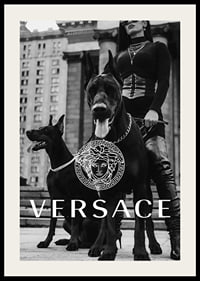 Black and white fashion photo of woman with two Doberman dogs-2