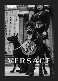 Black and white fashion photo of woman with two Doberman dogs-5