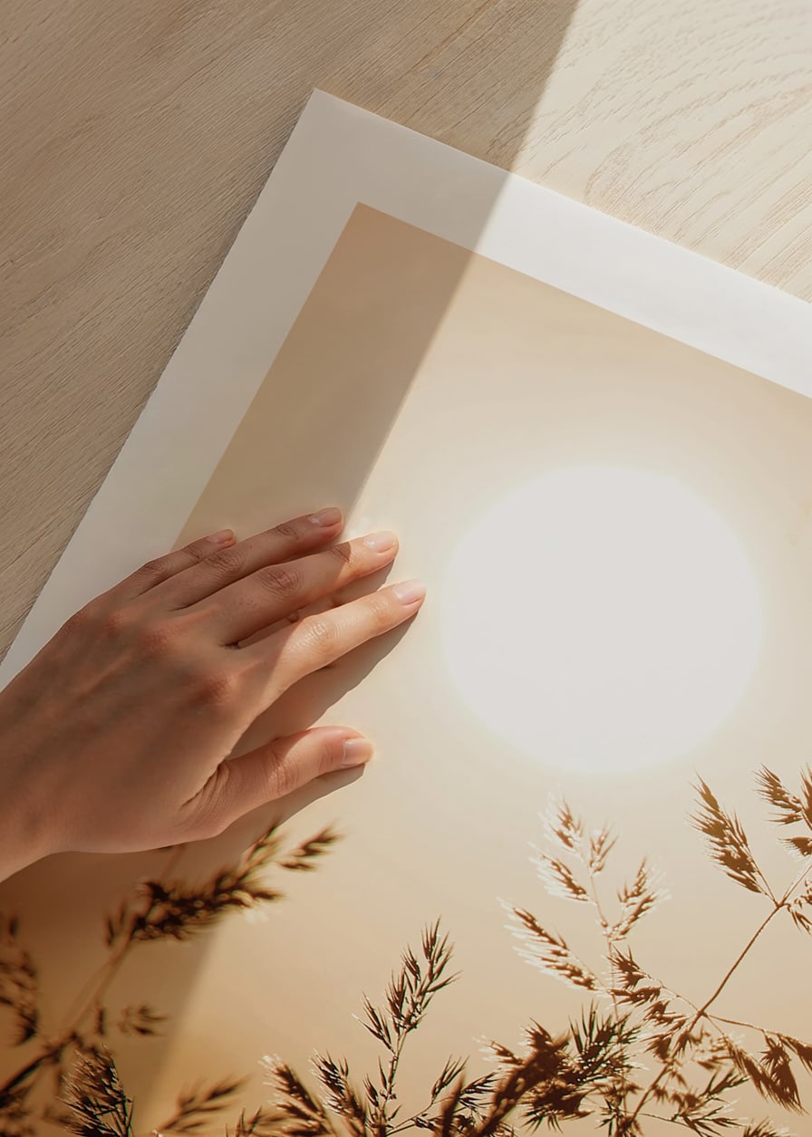 Photograph of dry blades of grass backlit against an orange sunset-12