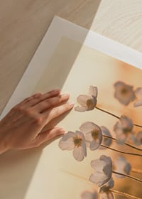 Weiße Glockenblume im Gegenlicht mit warmem Ton bei Sonnenuntergang, fotografisch-9