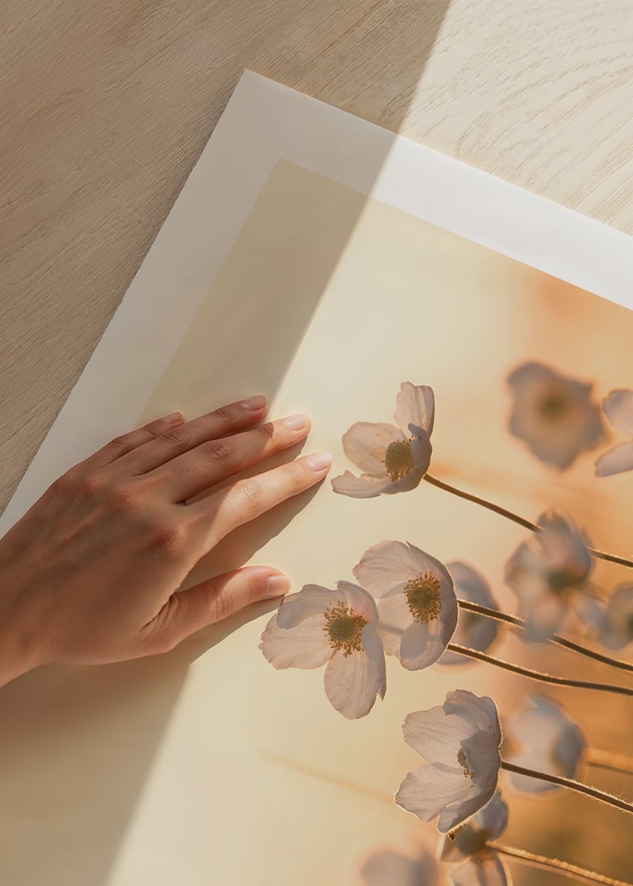 Weiße Glockenblume im Gegenlicht mit warmem Ton bei Sonnenuntergang, fotografisch-12