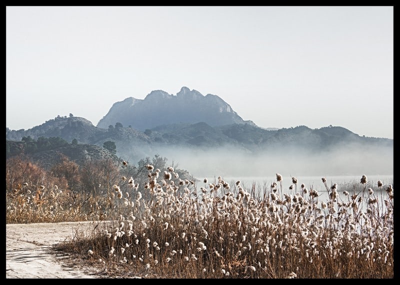 Photographic landscape with reeds, river and mountains in fog-12