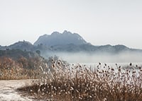Photographic landscape with reeds, river and mountains in fog-7