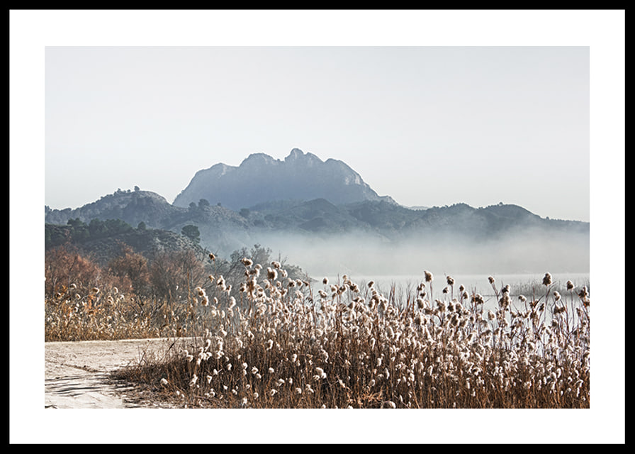 Photographic landscape with reeds, river and mountains in fog-12