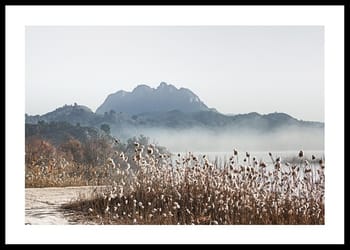 Póster Pathway Near The River