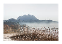 Photographic landscape with reeds, river and mountains in fog-1