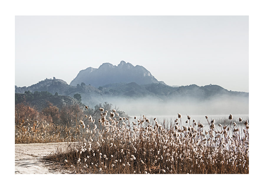 Photographic landscape with reeds, river and mountains in fog-12