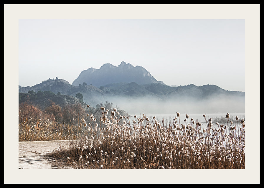 Photographic landscape with reeds, river and mountains in fog-12