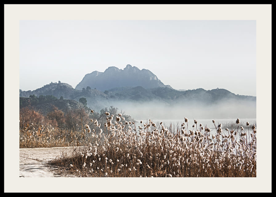 Fotografische Landschaft mit Schilf, Fluss und Bergen im Nebel-12