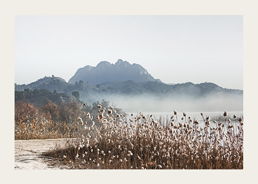 Photographic landscape with reeds, river and mountains in fog-12