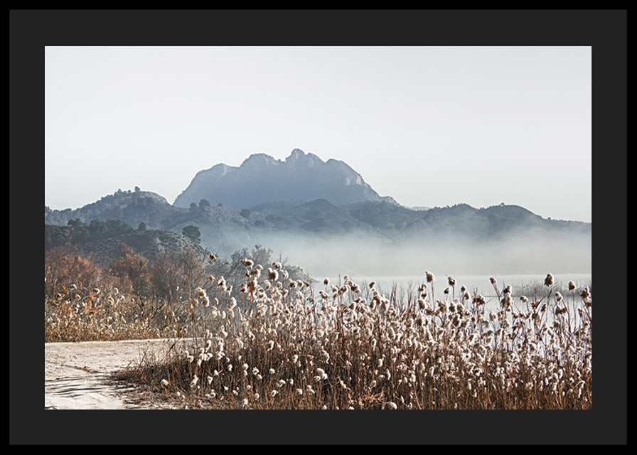 Photographic landscape with reeds, river and mountains in fog-12