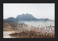 Photographic landscape with reeds, river and mountains in fog-5