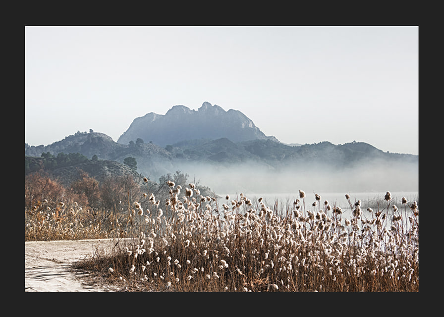 Photographic landscape with reeds, river and mountains in fog-12