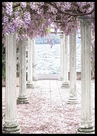 Fotografi av vita pelare täckta av lila blåregnsblommor vid sjö-6