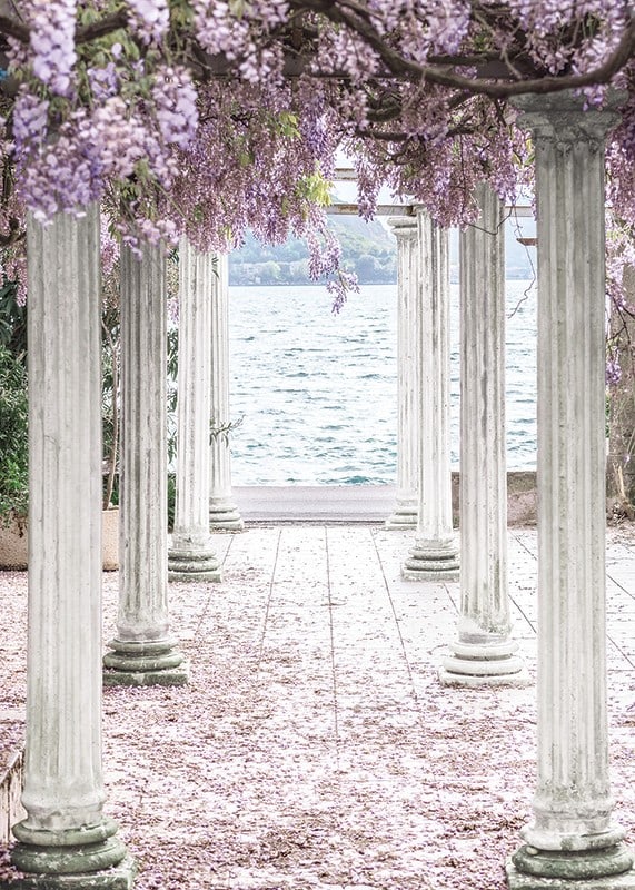Fotografi av vita pelare täckta av lila blåregnsblommor vid sjö-12