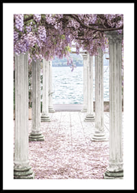 Fotografi av vita pelare täckta av lila blåregnsblommor vid sjö-0