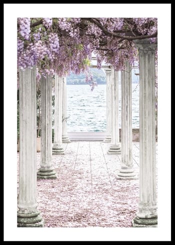 Poster Pillars With Wisteria Flower-Roof