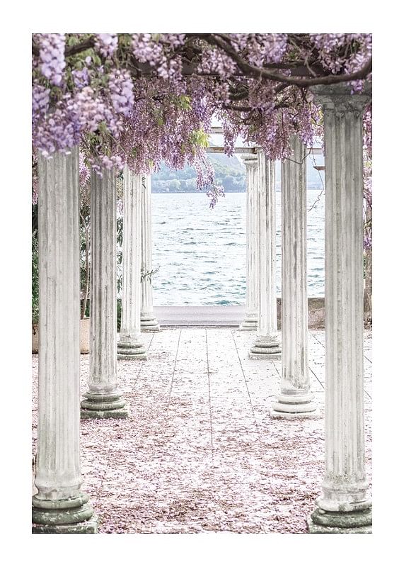 Pillars With Wisteria Flower-Roof-12