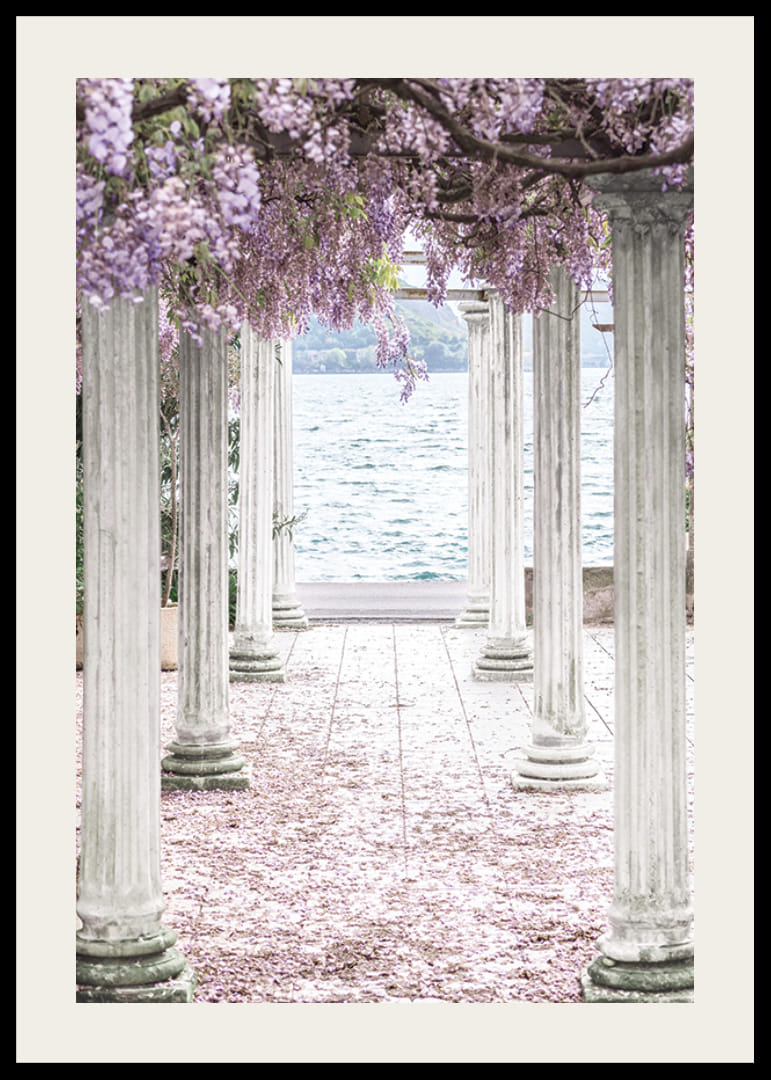 Zdjęcie białych filarów pokrytych fioletowymi kwiatami glicynii nad jeziorem-12