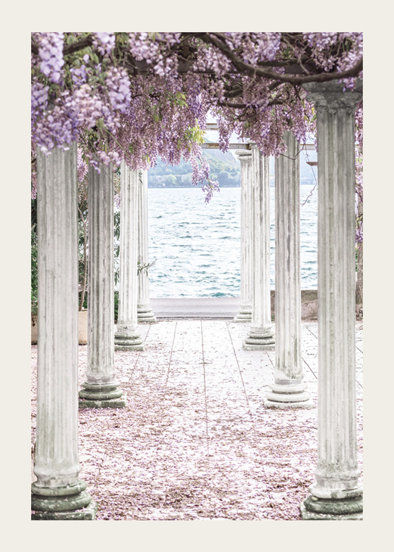 Fotografi av vita pelare täckta av lila blåregnsblommor vid sjö-12